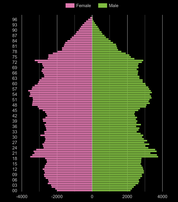 Bath population pyramid by year