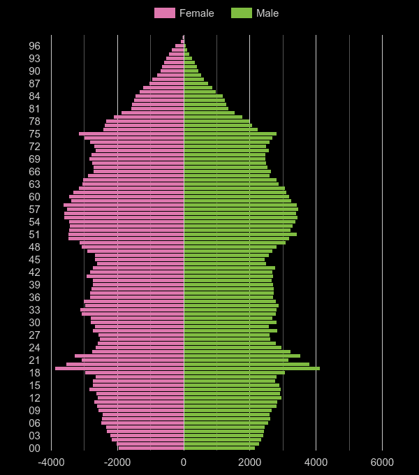 Bath population pyramid by year