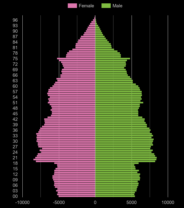 Bristol population pyramid by year