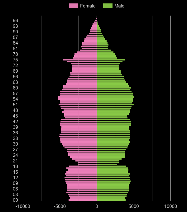 Chelmsford population pyramid by year