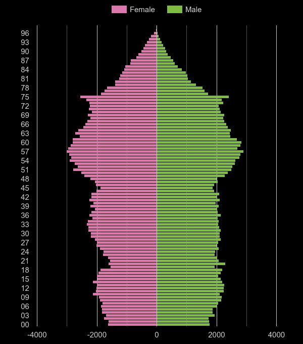 Darlington population pyramid by year