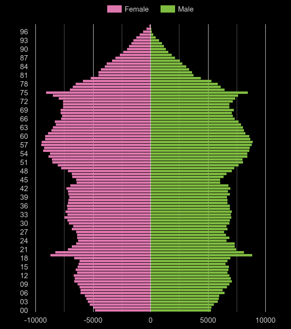 Devon population pyramid by year