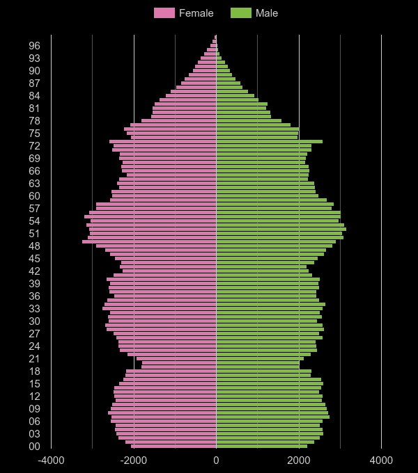 Dudley population pyramid by year