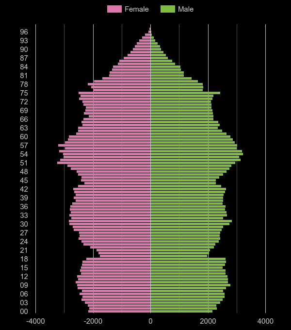 Dudley population pyramid by year