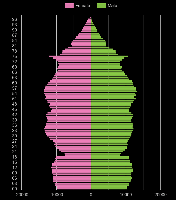 Essex population pyramid by year