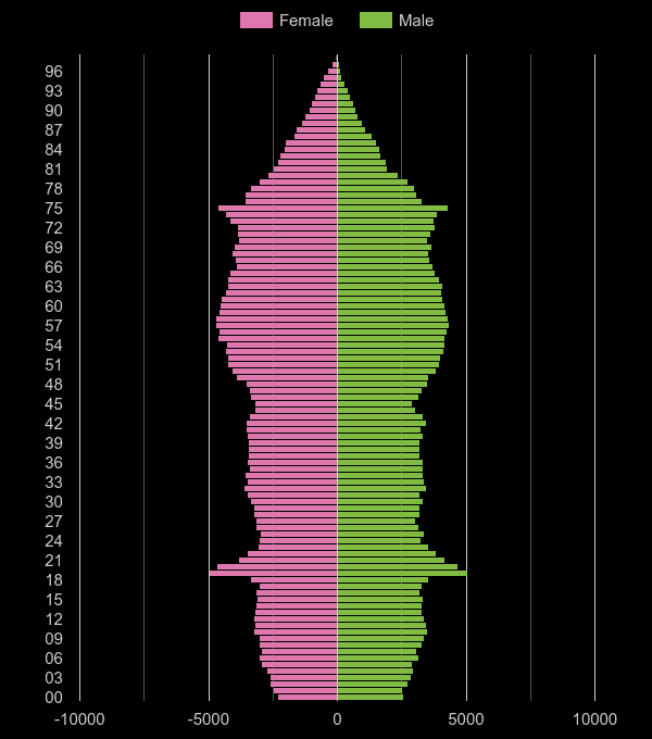 Exeter population pyramid by year