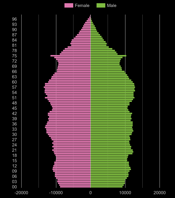 Hampshire population pyramid by year