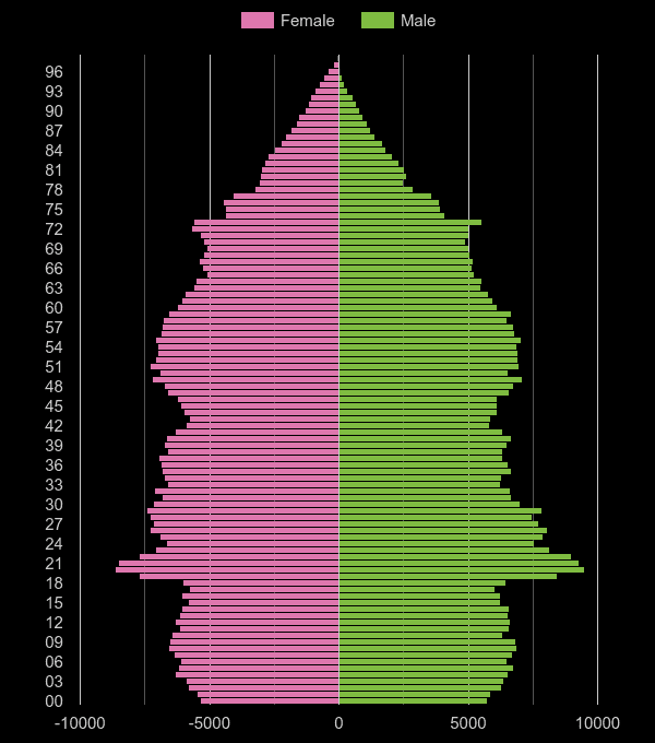 Leicester population pyramid by year