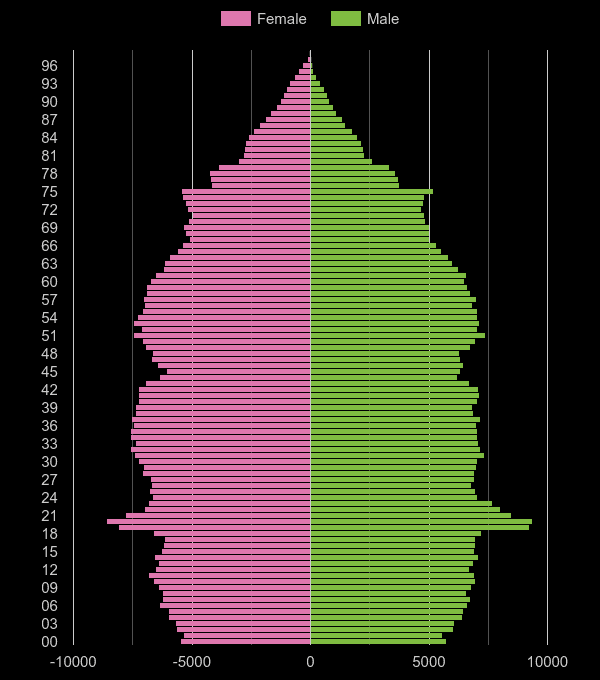 Leicester population pyramid by year