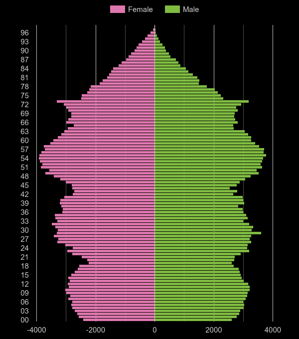 Newport population pyramid by year