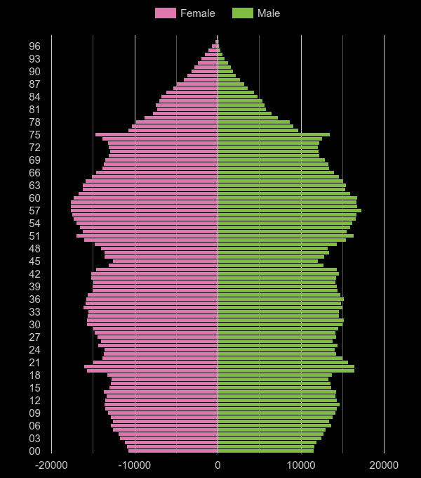 North East population pyramid by year