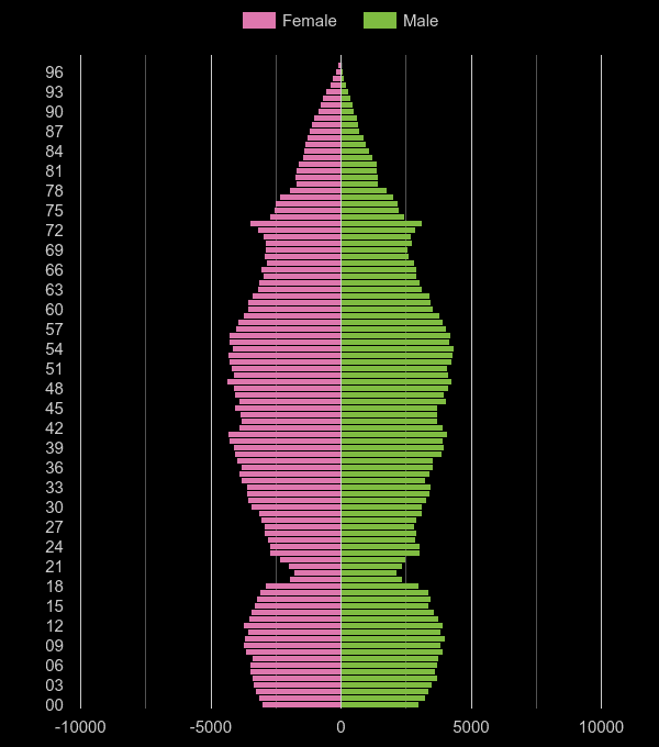 Redhill population pyramid by year