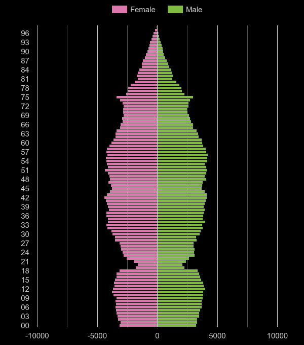 Redhill population pyramid by year