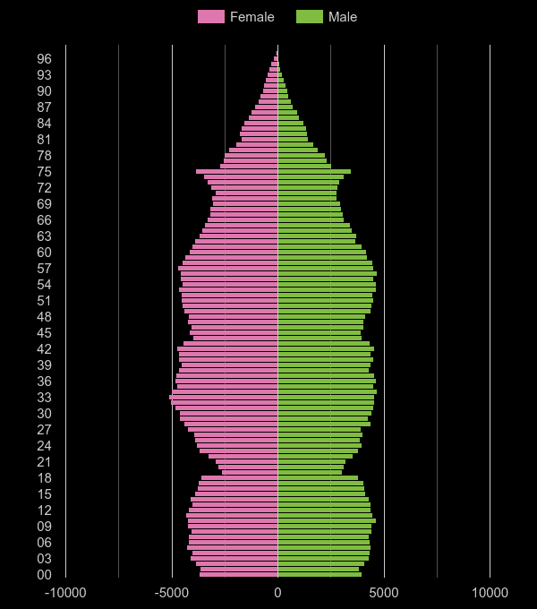 Rochester population stats in maps and graphs.