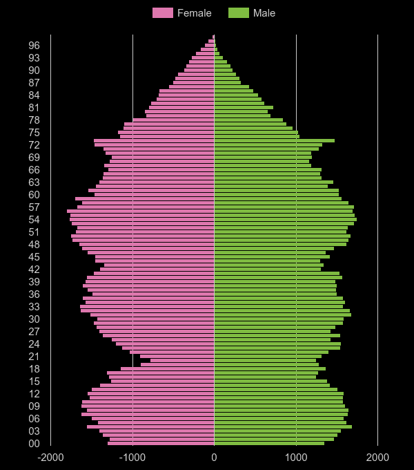 Salisbury population pyramid by year