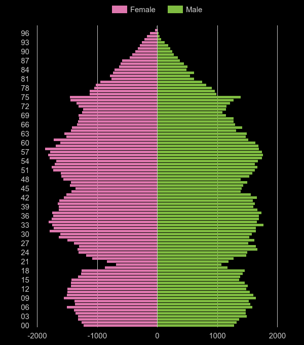 Salisbury population pyramid by year