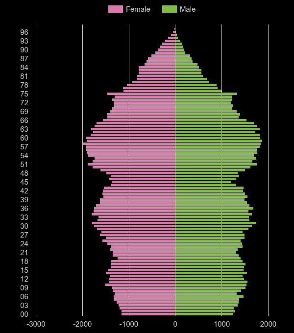 Sunderland population pyramid by year