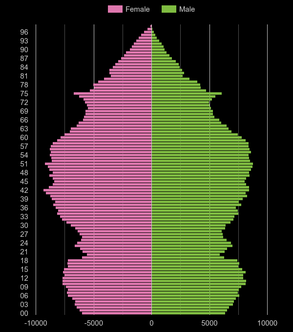 Surrey population pyramid by year