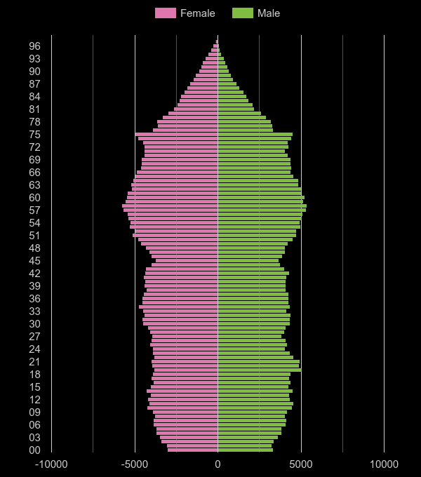 Swansea population pyramid by year