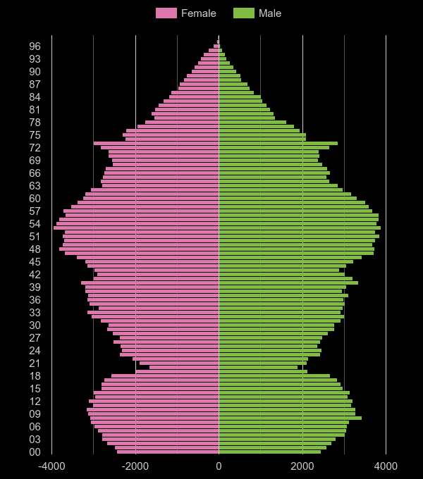 Swindon population pyramid by year