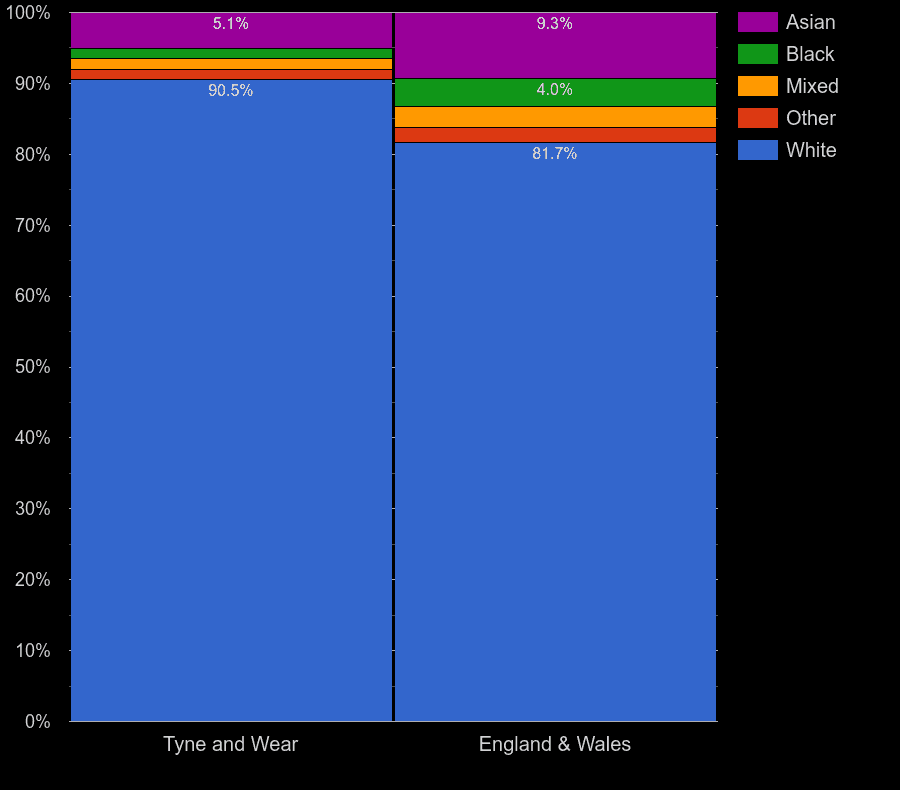 Tyne and Wear population ethnic group