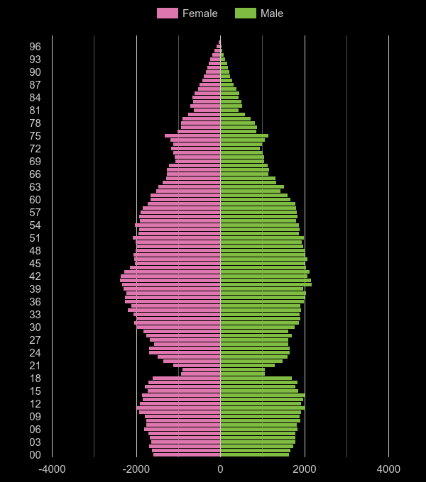 Watford population pyramid by year