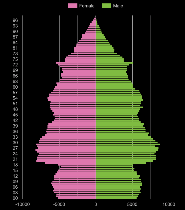 Bristol population pyramid by year