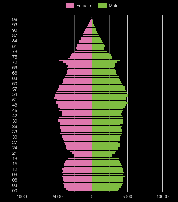 Chelmsford population pyramid by year