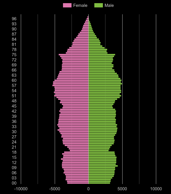 Chester population pyramid by year