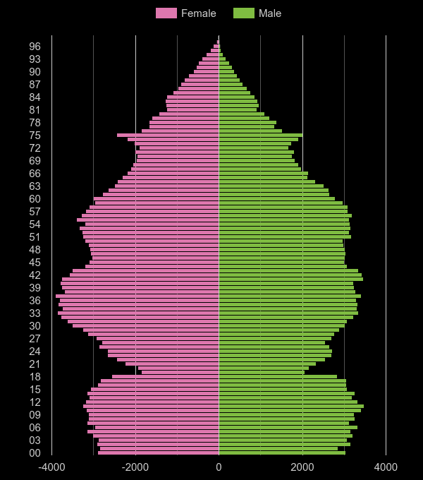 Dartford population pyramid by year