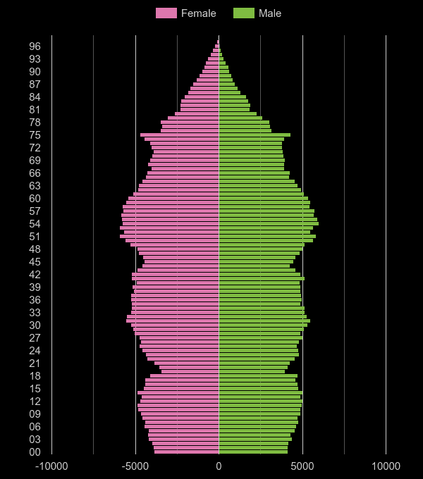 Derby population pyramid by year