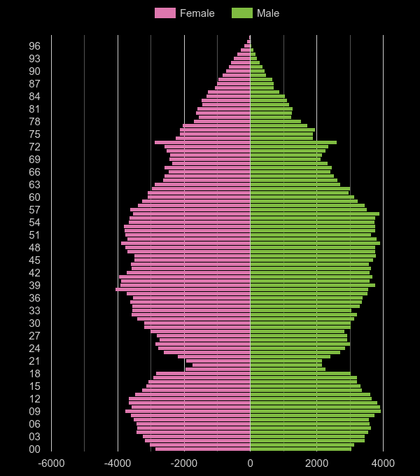 Hemel Hempstead population pyramid by year