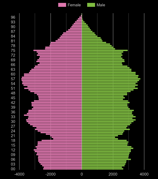 Newport population pyramid by year