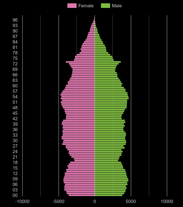 Rochester population pyramid by year