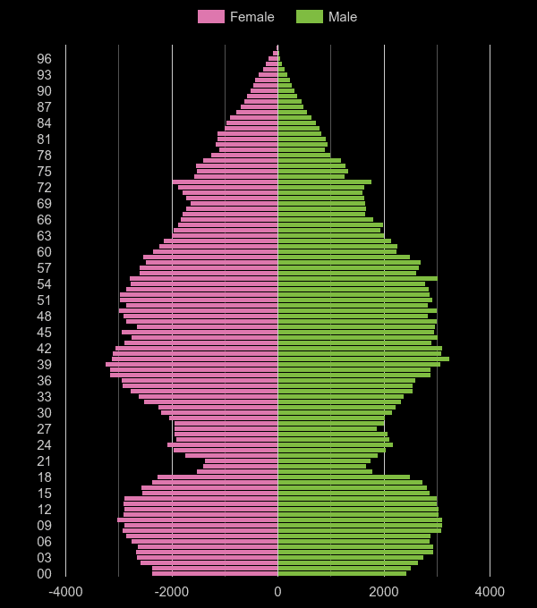 Slough population pyramid by year
