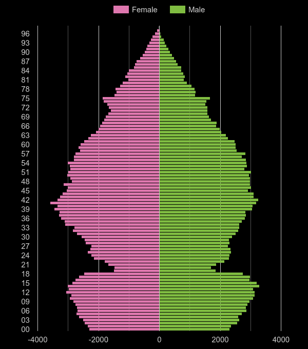 Slough population pyramid by year