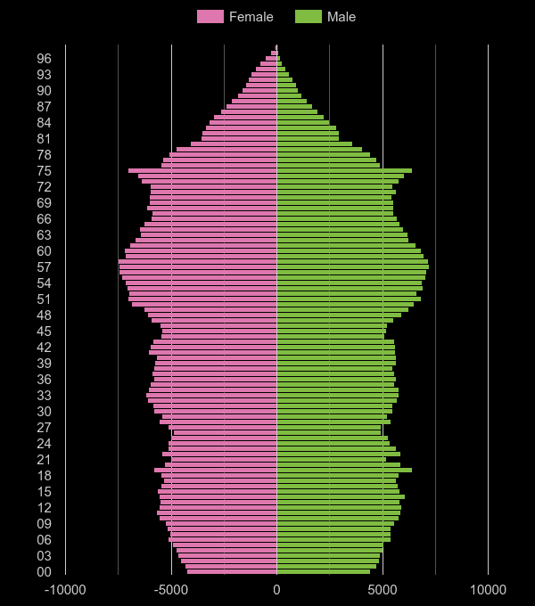 Somerset population pyramid by year