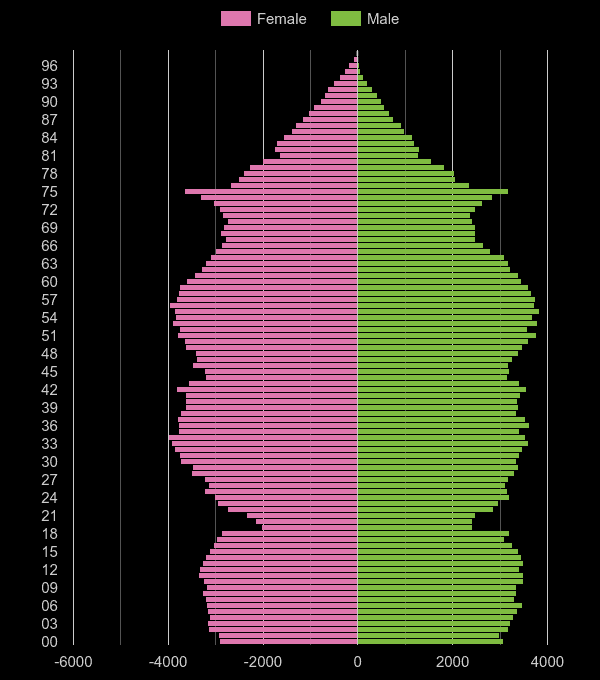 Southend on Sea population pyramid by year