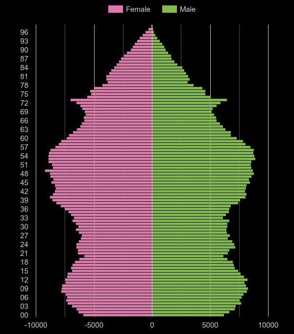 Surrey population pyramid by year