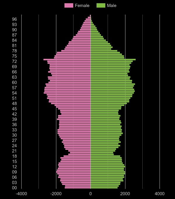Taunton population pyramid by year