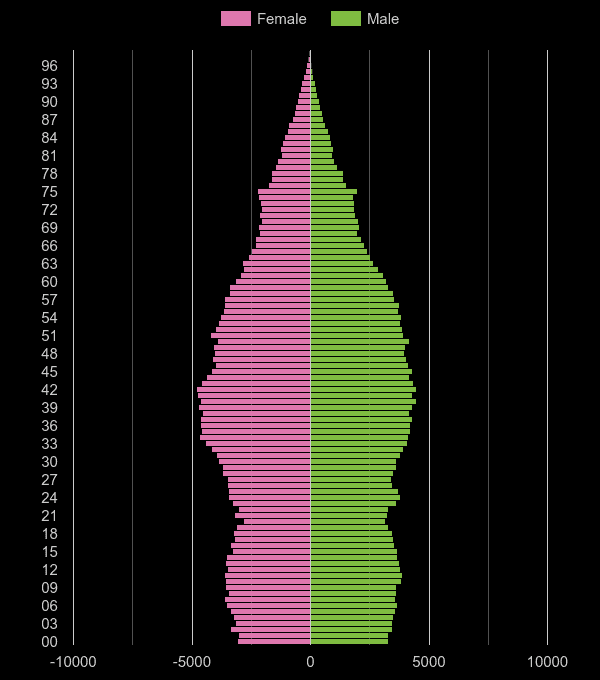 Twickenham population pyramid by year