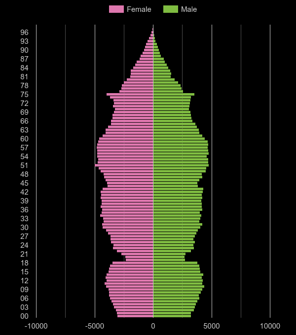 Warrington population pyramid by year