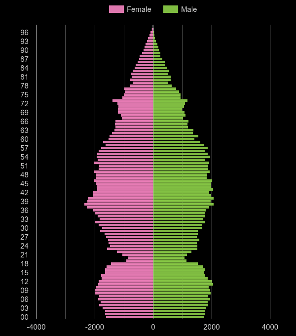 Watford population pyramid by year