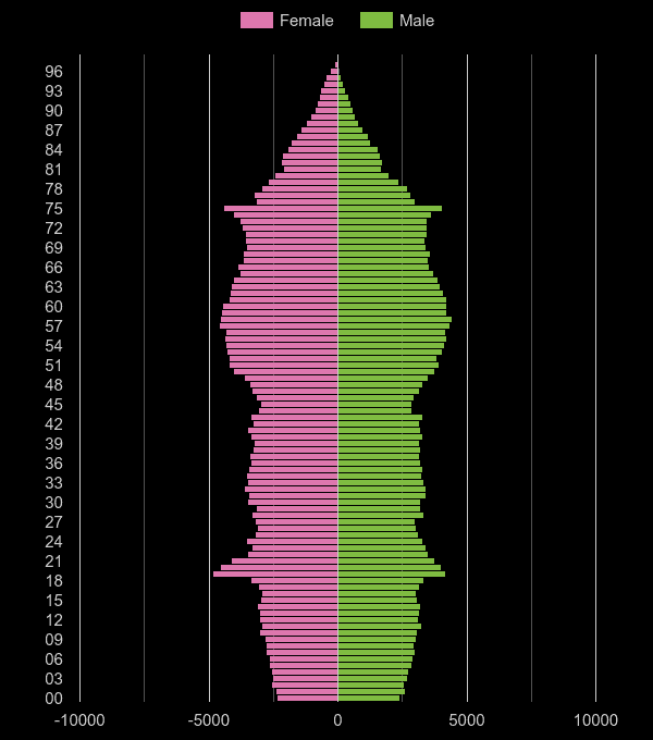 York population pyramid by year